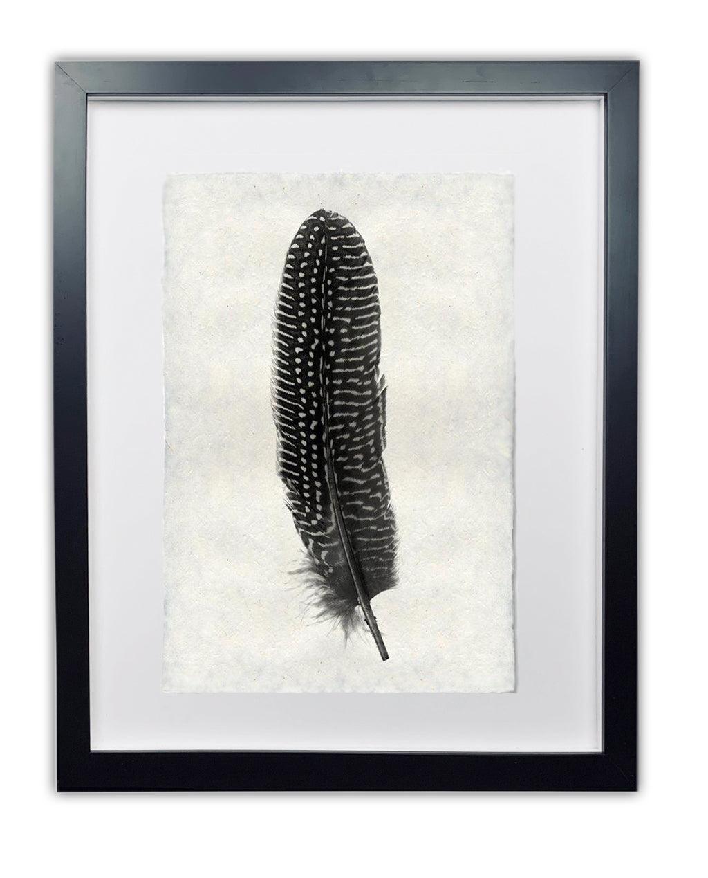 Black and white pheasant feather print on textured handmade Nepalese paper, framed in black.