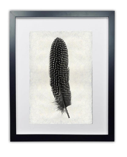 Black and white pheasant feather print on textured handmade Nepalese paper, framed in black.