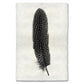 Pheasant feather print in black and white on textured handmade Nepalese paper.