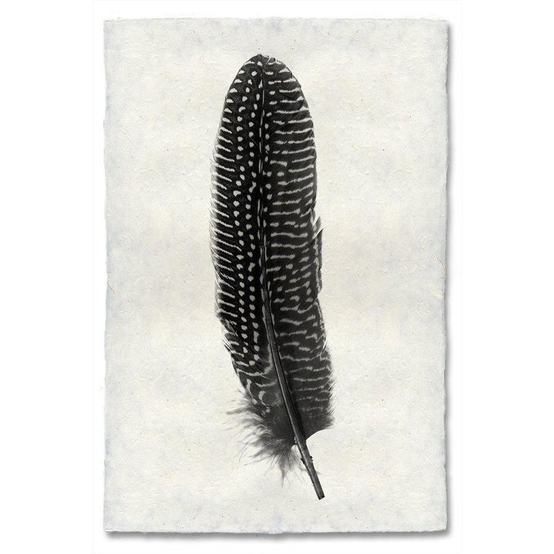 Pheasant feather print in black and white on textured handmade Nepalese paper.