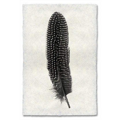 Pheasant feather print in black and white on textured handmade Nepalese paper.