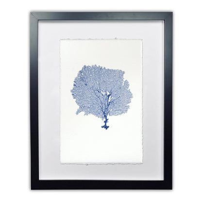 Framed blue round sea fan art print on handmade Nepalese paper with a black frame.