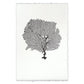 Black round sea fan art print on white handmade Nepalese paper with deckled edges.