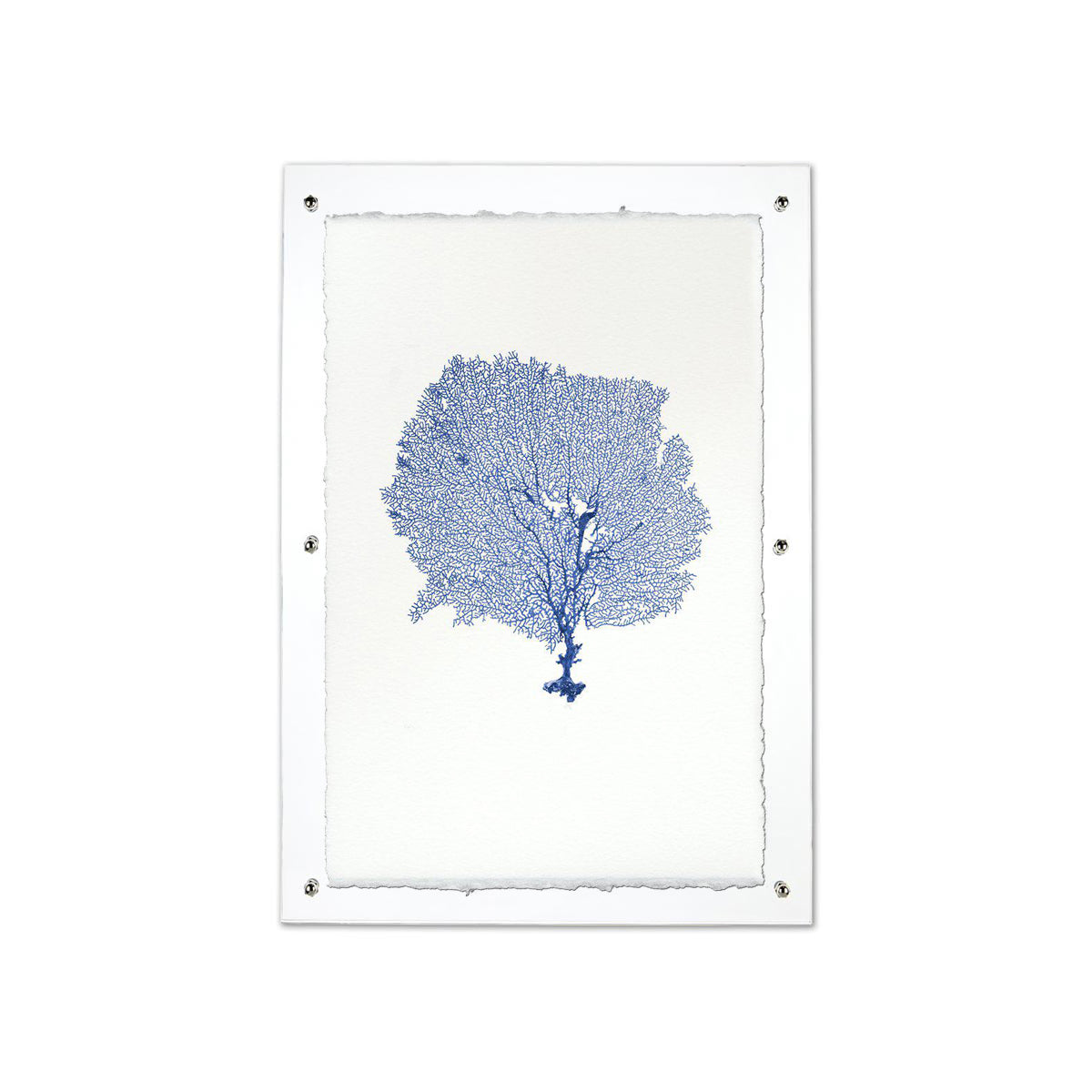 Round Sea fan blue framed handmade paper wall art print 20"x30"