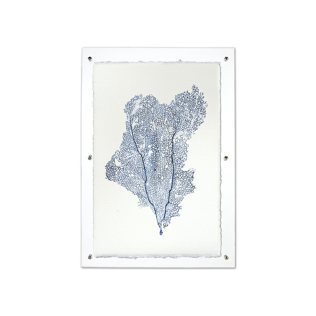 Sea Fan blue framed handmade paper wall art print  9"x14"