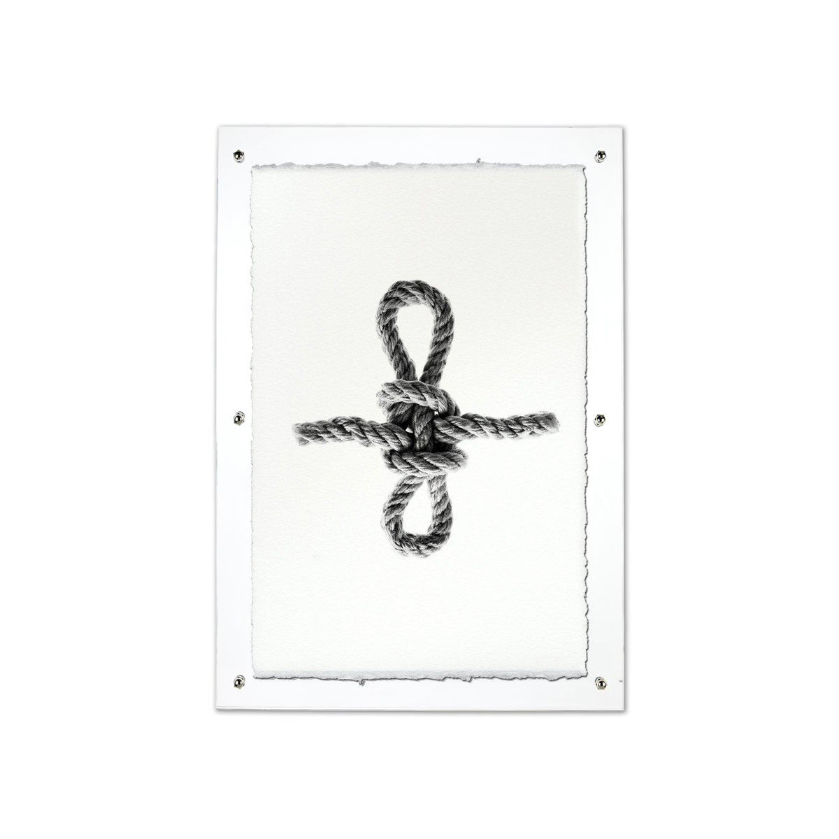 Sheepshank nautical knot print on white Nepalese handmade paper, framed in clear acrylic.
