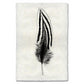 Black and white Silver Pheasant feather print on textured handmade Nepalese paper wall art.