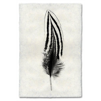 Black and white Silver Pheasant feather print on textured handmade Nepalese paper wall art.