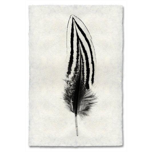 Black and white Silver Pheasant feather print on textured handmade Nepalese paper wall art.