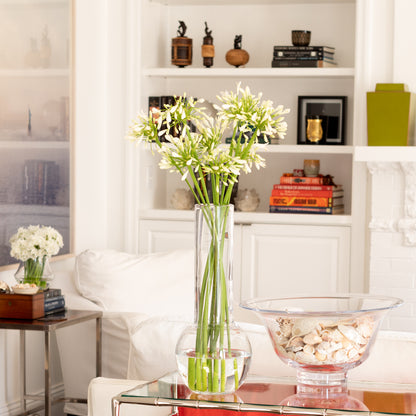 Tall Sofia Glass Vase with white flowers, mouth-blown clear glass, 17.5"H, on a table in a bright room.