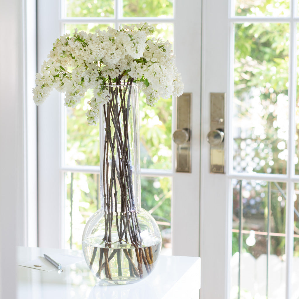 Sofia 17.5"H clear mouth-blown glass vase with white lilacs on a white table by a window.