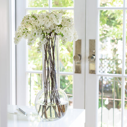 Sofia 17.5"H clear mouth-blown glass vase with white lilacs on a white table by a window.