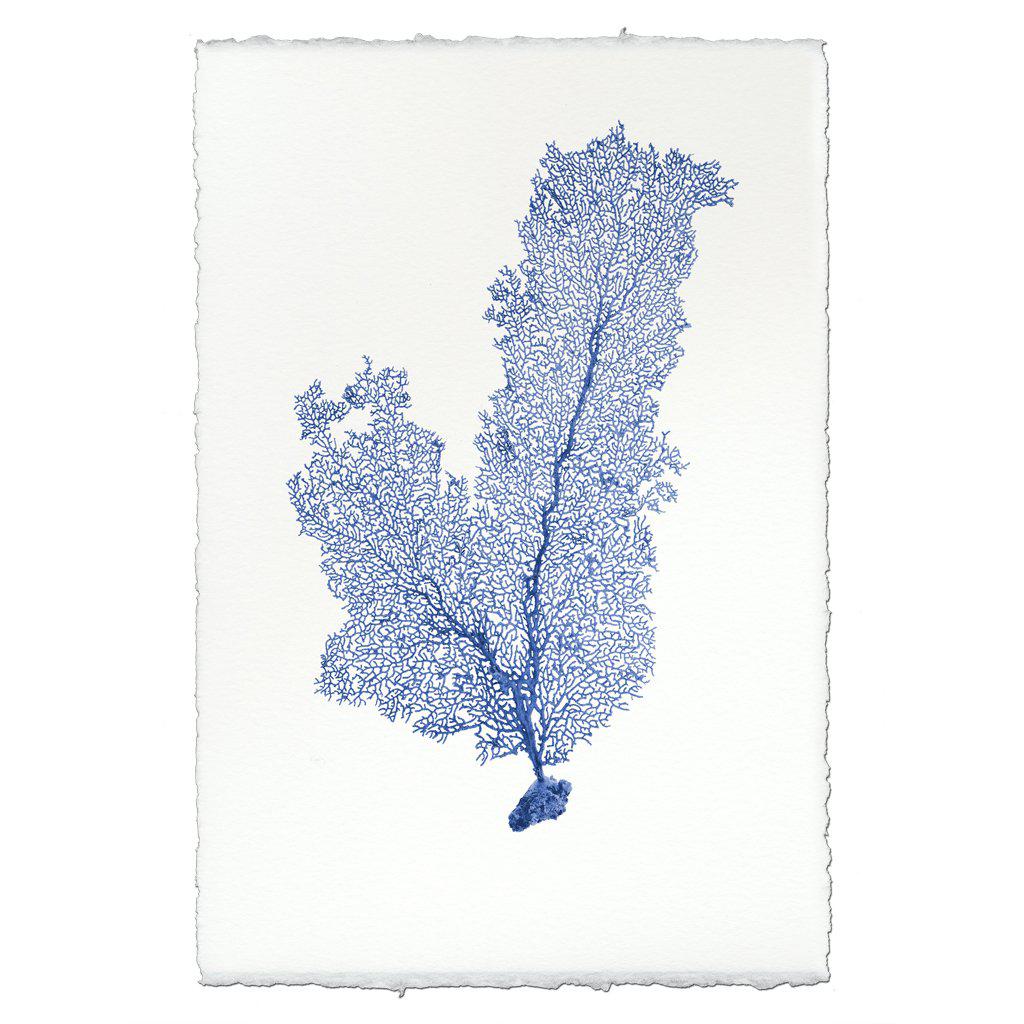 Tall sea fan blue handmade paper wall art print 40"x60"