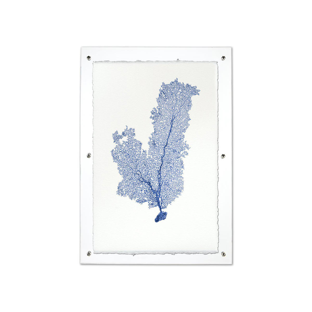 Tall sea fan blue framed handmade paper wall art print 20"x30"