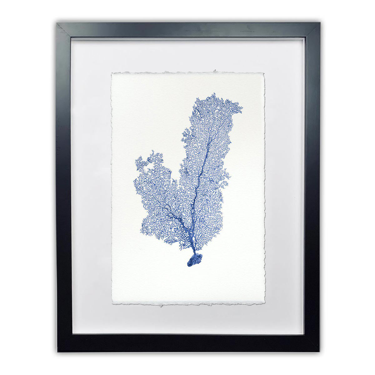 Tall Sea fan blue framed handmade paper wall art print 9"x14"