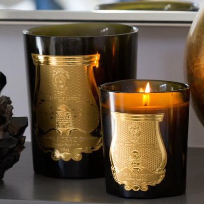 Trudon Ernesto Intermezzo Scented Candle, two dark green glass candles with gold crest labels, one lit.