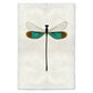 Turquoise Damsel Dragonfly print on handmade paper, with teal and brown wings.