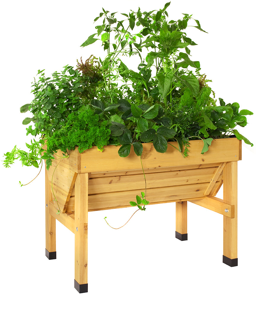 VegTrug Classic Wood Planter, a raised cedarwood garden bed with various green plants.