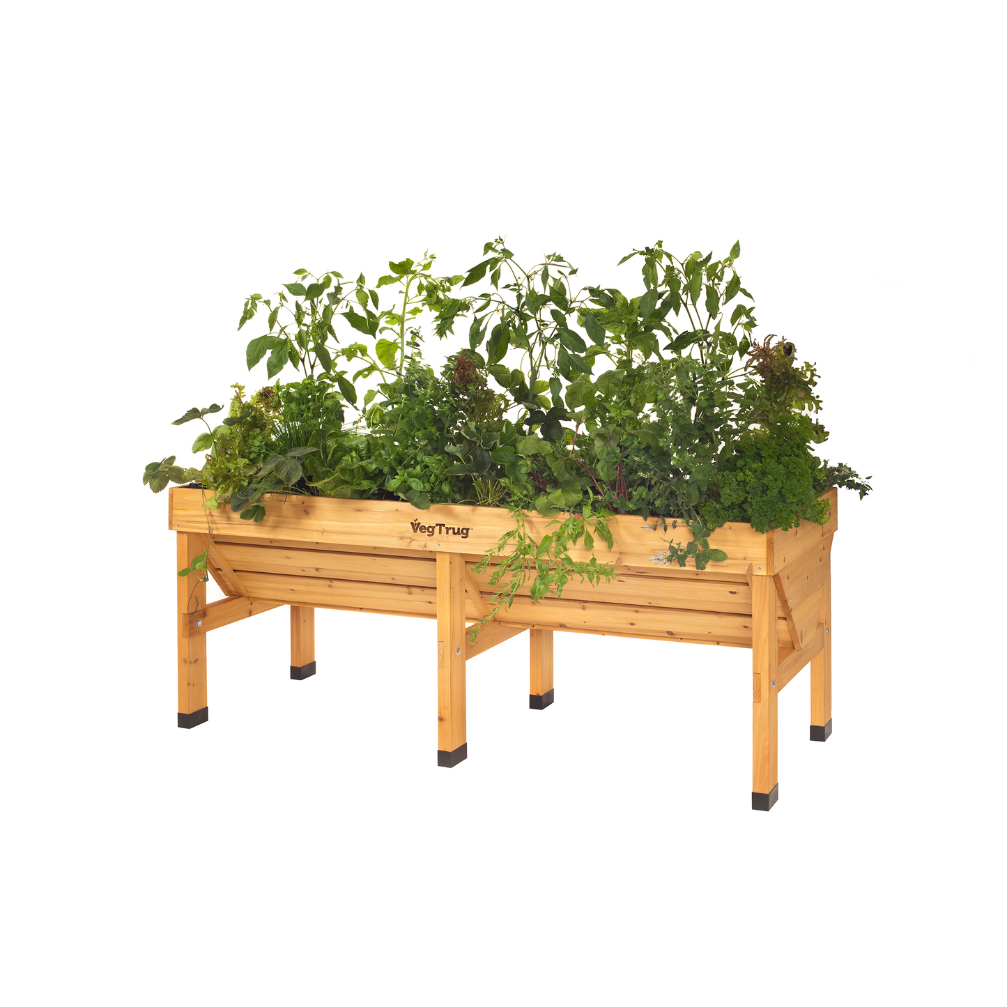 VegTrug Medium V-shape raised bed planter made of natural cedarwood, filled with various green plants.