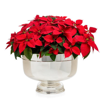 Vintage 18" silverplate footed punch bowl, Revere style, holding vibrant red poinsettias.