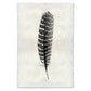 Wild Turkey Feather Study #16 print on handmade Nepalese paper, black and white striped feather.