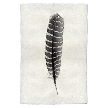 Wild Turkey Feather Study #16 print on handmade Nepalese paper, black and white striped feather.