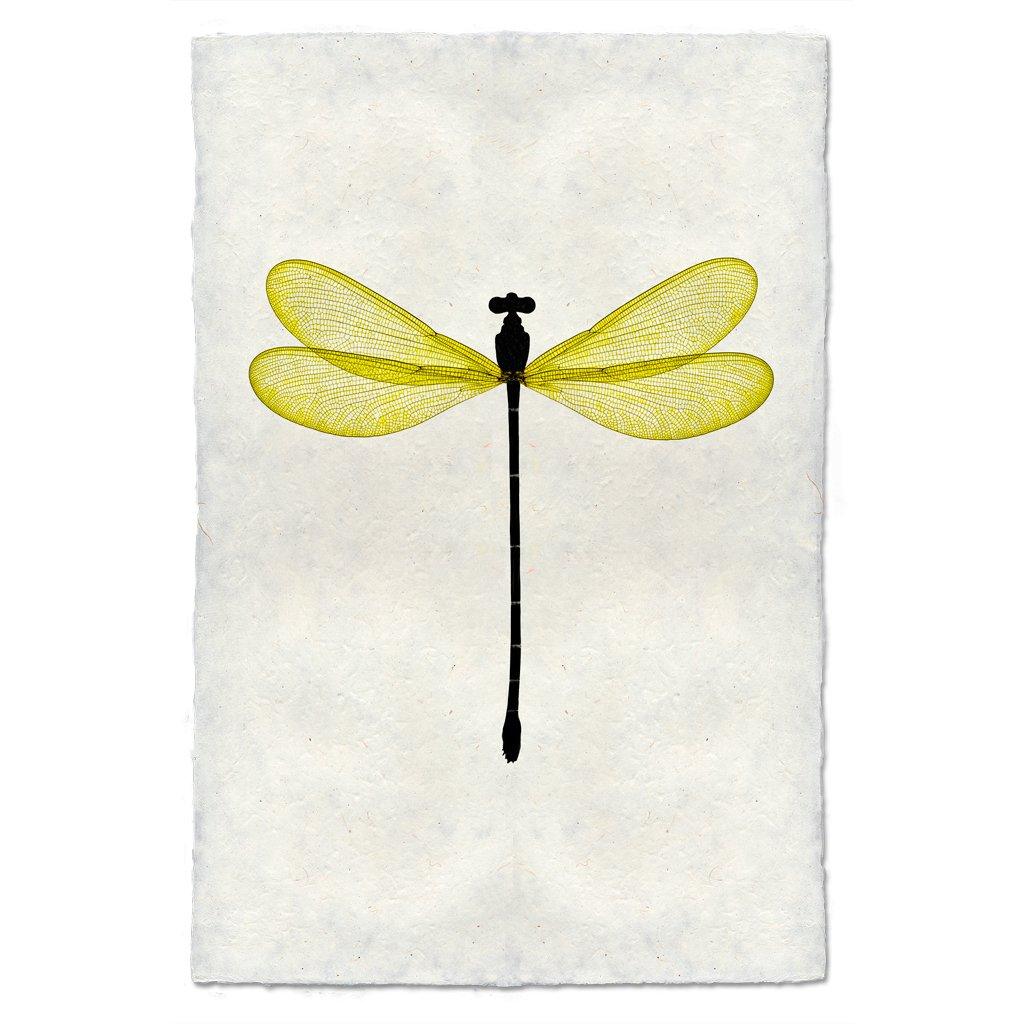 Yellow Damsel Dragonfly print on handmade paper, featuring a black body and translucent yellow wings.