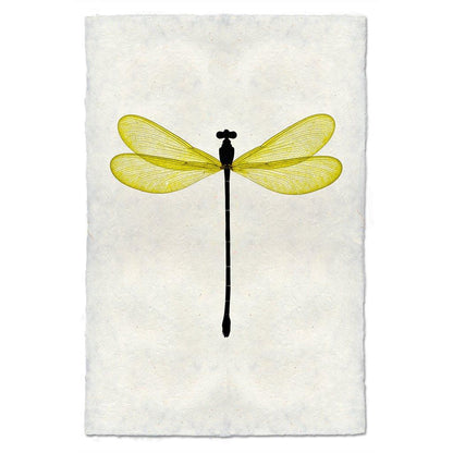 Yellow Damsel Dragonfly print on handmade paper, featuring a black body and translucent yellow wings.