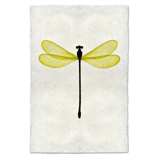 Yellow Damsel Dragonfly print on handmade paper, featuring a black body and translucent yellow wings.